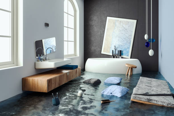 Best Mold removal after water damage  in Brecksville, OH