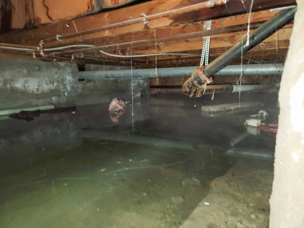 Best Flood damage cleanup  in Brecksville, OH
