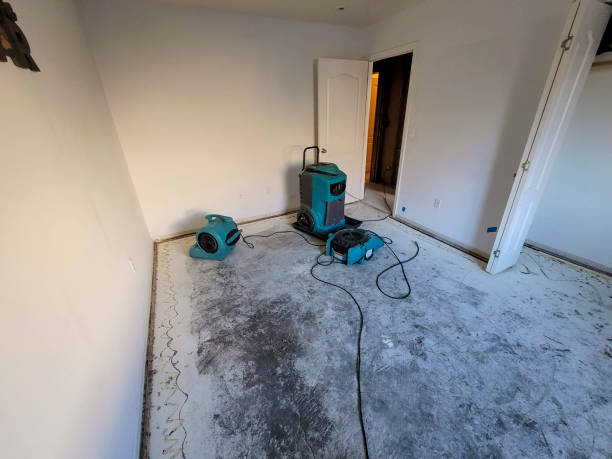 Best Ceiling water damage repair  in Brecksville, OH