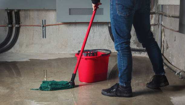 Best Local water damage restoration  in Brecksville, OH