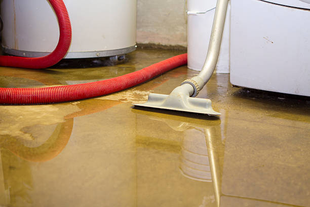 Best Mold removal after water damage  in Brecksville, OH