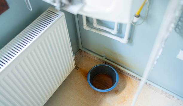 Best Professional water damage repair  in Brecksville, OH